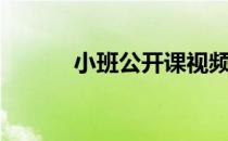 小班公开课视频（小班公开课）