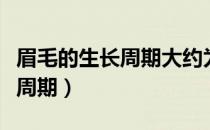 眉毛的生长周期大约为多长时间（眉毛的生长周期）