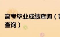 高考毕业成绩查询（普通高校的毕业成绩怎样查询）