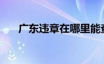 广东违章在哪里能查（广东违章在线）
