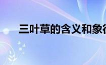 三叶草的含义和象征（三叶草的含义）