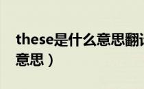 these是什么意思翻译成中文（these是什么意思）