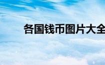 各国钱币图片大全（各国钱的符号）