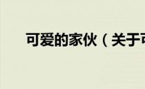 可爱的家伙（关于可爱的家伙的介绍）