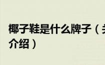 椰子鞋是什么牌子（关于椰子鞋是什么牌子的介绍）