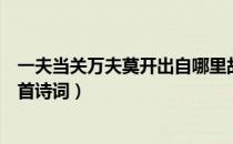 一夫当关万夫莫开出自哪里故事（一夫当关万夫莫开出自哪首诗词）