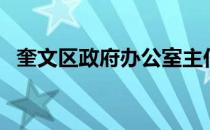 奎文区政府办公室主任（奎文区政府网站）