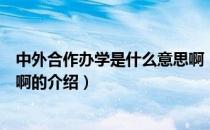 中外合作办学是什么意思啊（关于中外合作办学是什么意思啊的介绍）
