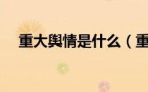 重大舆情是什么（重大舆情是什么意思）