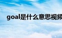 goal是什么意思视频（goal是什么意思）