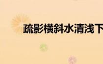 疏影横斜水清浅下一句（疏影横斜）