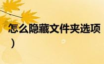 怎么隐藏文件夹选项（怎么隐藏文件夹并加密）