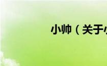 小帅（关于小帅的介绍）