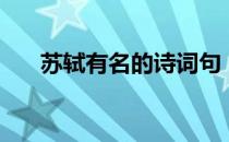 苏轼有名的诗词句（苏轼有名的诗词）