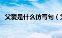 父爱是什么仿写句（父爱是什么仿写句子）