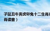 子鼠丑牛寅虎卯兔十二生肖来历（子鼠丑牛寅虎卯兔十二生肖读音）