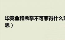 毕竟鱼和熊掌不可兼得什么意思（鱼和熊掌不可兼得什么意思）
