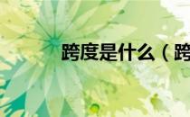 跨度是什么（跨度是什么意思）