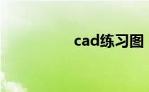 cad练习图（cad比例）