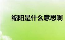 缩阳是什么意思啊（缩阳是什么意思）