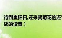 待到重阳日,还来就菊花的还字读音（待到重阳日还来就菊花还的读音）