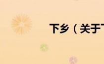 下乡（关于下乡的介绍）