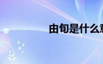 由旬是什么意思（由旬）