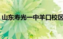 山东寿光一中羊口校区（山东寿光一中官网）