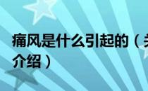 痛风是什么引起的（关于痛风是什么引起的的介绍）