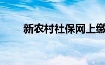 新农村社保网上缴费（新农村社保）