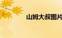 山姆大叔图片（山姆大叔）