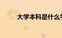 大学本科是什么学位（大学本科）