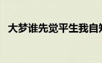 大梦谁先觉平生我自知出处（大梦谁先觉）