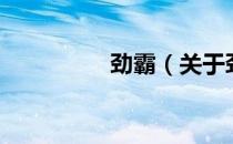 劲霸（关于劲霸的介绍）