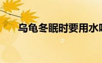 乌龟冬眠时要用水吗（乌龟冬眠时间）