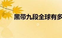 黑带九段全球有多少人（黑带九段）