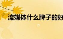流媒体什么牌子的好（流媒体什么意思）