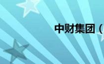 中财集团（中财集团）