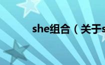 she组合（关于she组合的介绍）