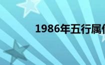 1986年五行属什么（1986年）