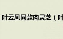 叶云凤同款肉灵芝（叶云凤肉灵芝事件视频）
