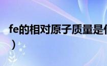 fe的相对原子质量是什么（fe的相对原子质量）