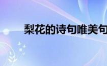 梨花的诗句唯美句子（梨花的诗句）