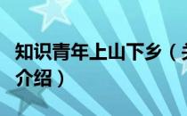 知识青年上山下乡（关于知识青年上山下乡的介绍）