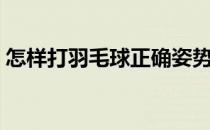 怎样打羽毛球正确姿势视频（怎样打羽毛球）
