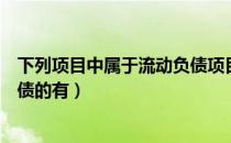 下列项目中属于流动负债项目的有（下列项目中属于流动负债的有）