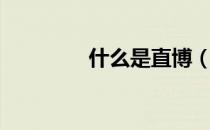什么是直博（什么是直博）