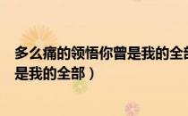 多么痛的领悟你曾是我的全部是什么歌（多么痛的领悟你曾是我的全部）