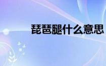 琵琶腿什么意思（ppt什么意思）