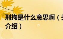 刑拘是什么意思啊（关于刑拘是什么意思啊的介绍）